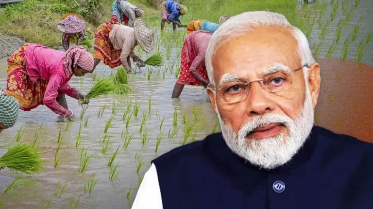 अब किसानों को मिलेगा ₹5 लाख तक का सस्ता लोन, सिर्फ 4% ब्याज पर – KCC बना खेती का सबसे भरोसेमंद साथी