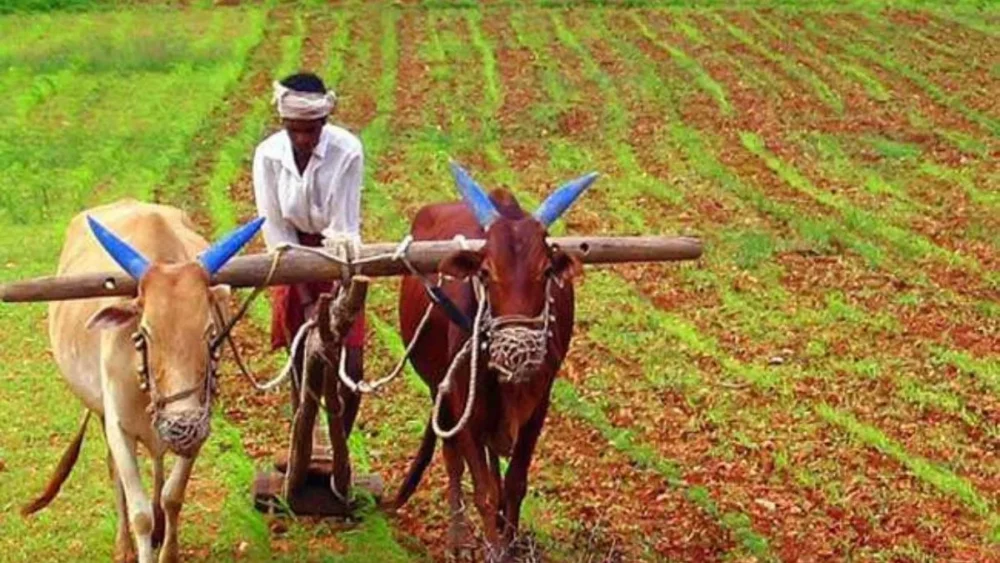 FARMAR