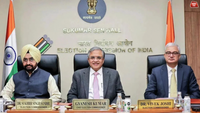 Voter List Revision: