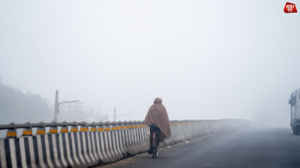 Red alert for cold wave,