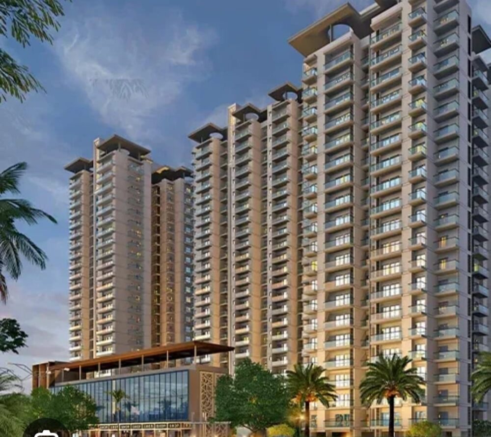 Shailendra Sharma Rhinox Group